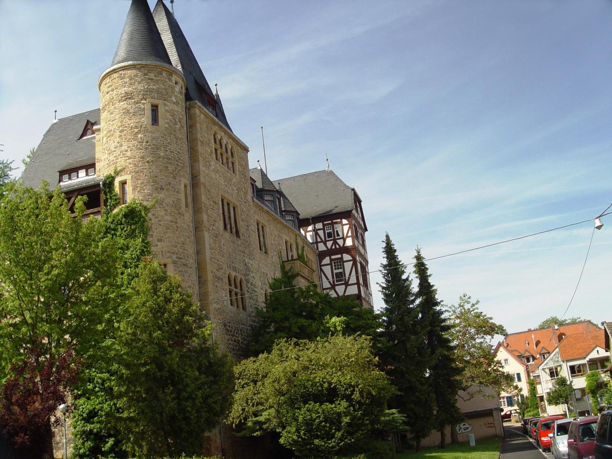 2 Zimmer Wohnung, Kueche, Bad, Balkon, Netflix Alzey Exteriör bild